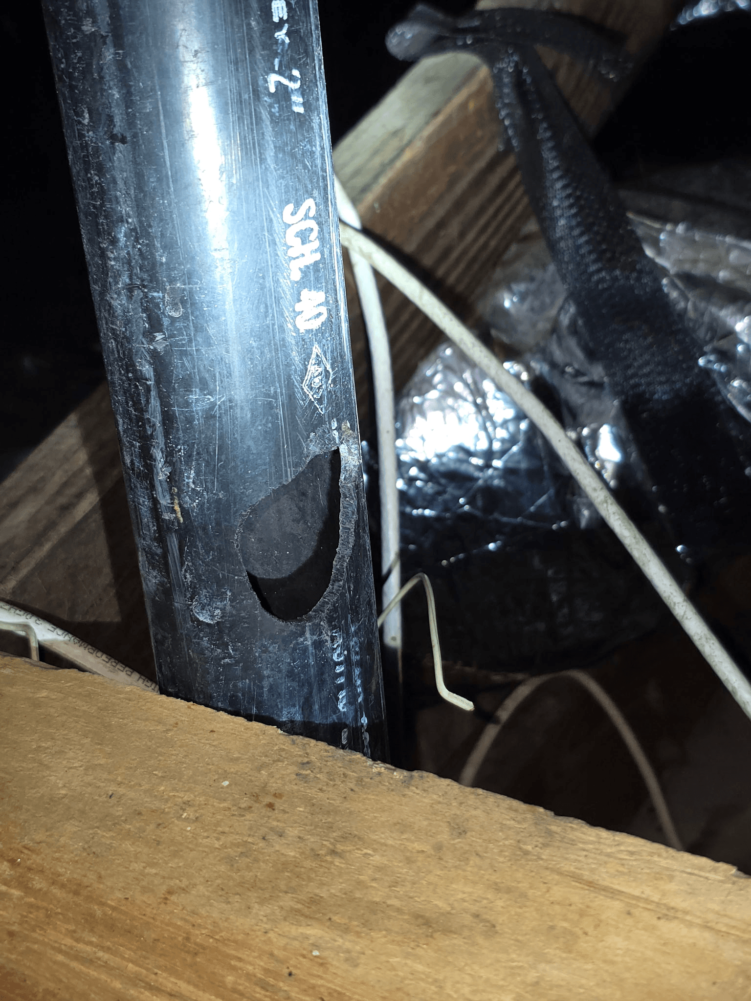 Rodent damage to pipe in attic — exclusion repair by Native Wildlife Solutions
