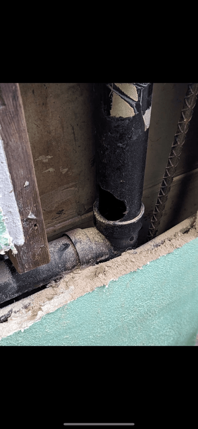 Gnawed pipe entry point at exterior wall base — sealed by Native Wildlife Solutions